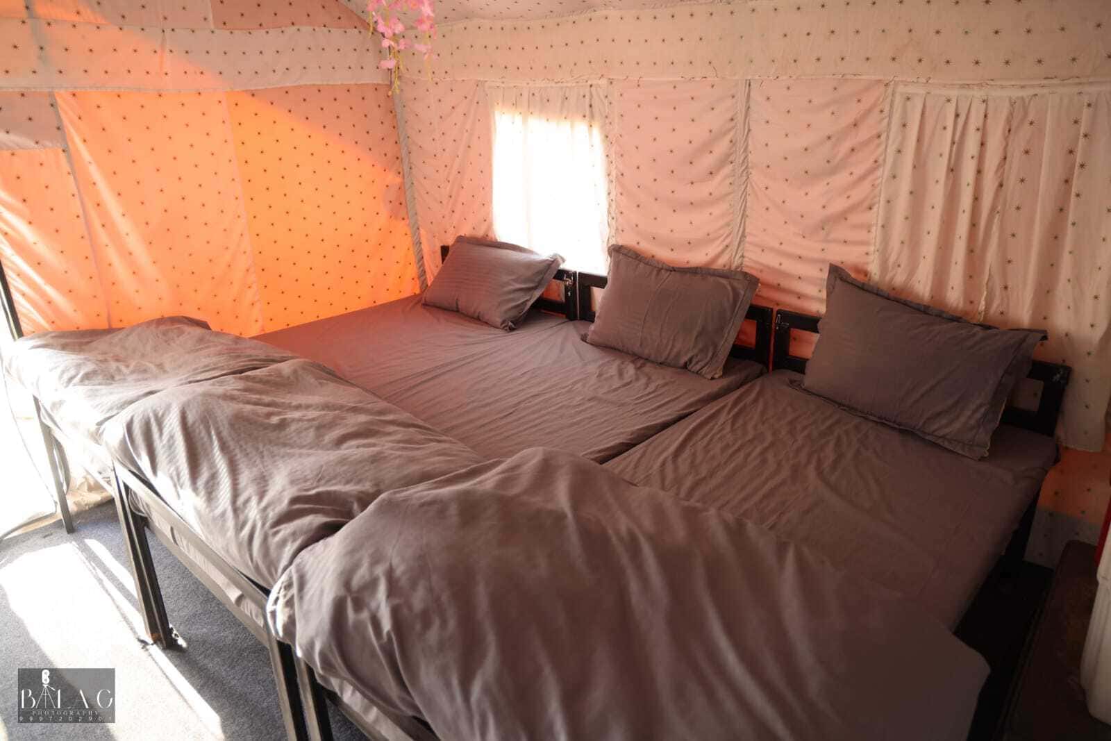 Comfortable bed arrangement inside luxury Swiss air-conditioned tent at The Jungle Mist Resort